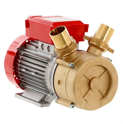 BE-M 50 CE ELETTROPOMPA TRAVASO     