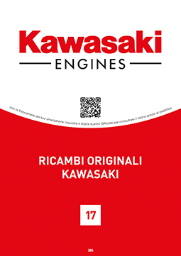Kawasaki